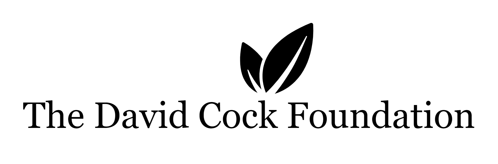 The-David-Cock-Foundation-logo-1-1.png